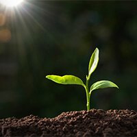 Our humble beginnings